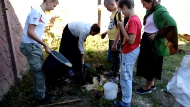 Посадка саженцев кедра п.Ильский смотреть онлайн