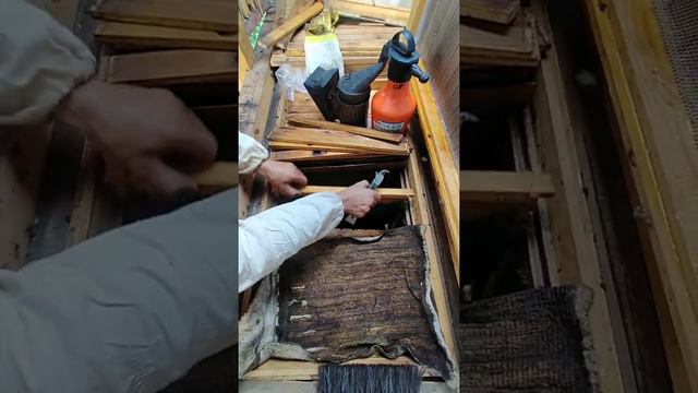 Apiary Огляд бджолопакета 2022,заселеного в апідомік. смотреть онлайн