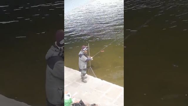 Рыбалка в центре Москвы смотреть онлайн