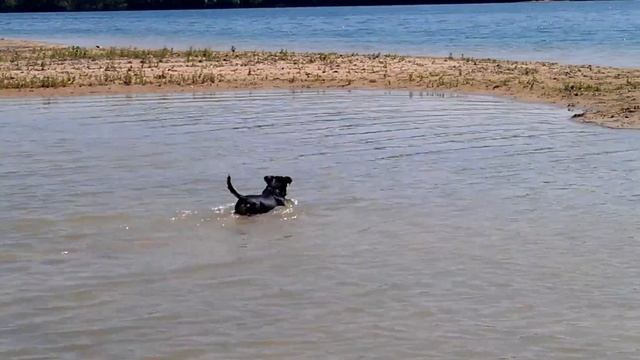 Spikeys wereld смотреть онлайн