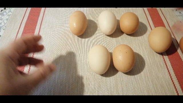 ??КАК ПРАВИЛЬНО ОТОБРАТЬ ЯЙЦА ДЛЯ ИНКУБАЦИИ. ОТВЕЧАЮ НА ВАШИ ВОПРОСЫ смотреть онлайн