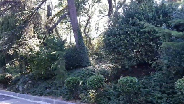 Крым, Форос , дорога на пляж санатория FOROS. 12.06.2020 смотреть онлайн