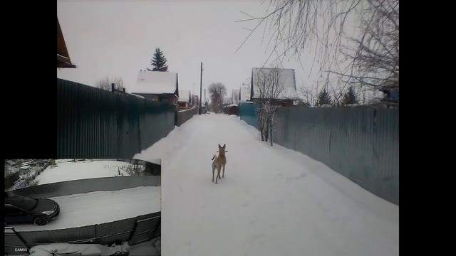 простой способ уборки снега на даче своими руками смотреть онлайн