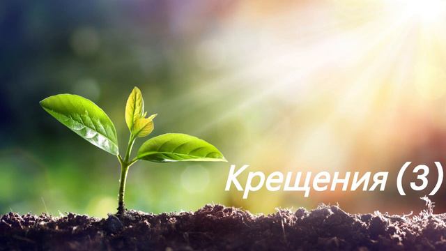 Как иметь жизнь вечную? Начатки учения Христова. Часть 6 Крещения. (Послание к Евреям 6:1-3) смотреть онлайн