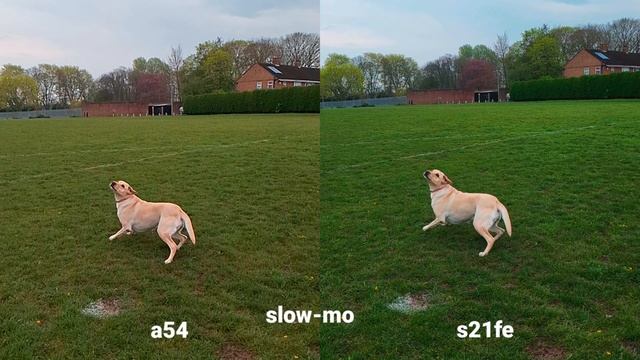 Samsung Galaxy A54 vs. Samsung Galaxy S21FE Camera Comparison: Midrange vs. Flagship смотреть онлайн