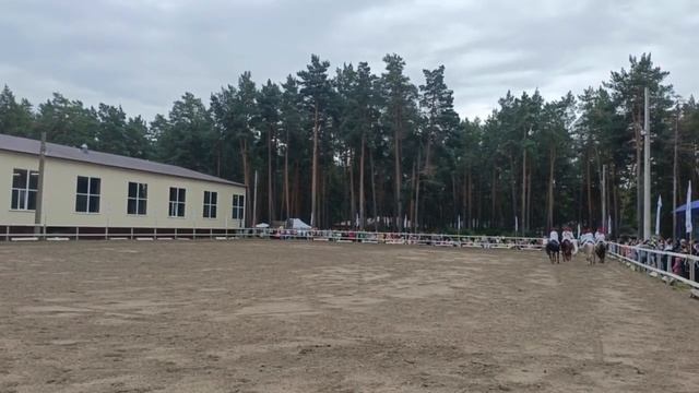Конноспортивный комплекс «Город Спорта» Дзержинск смотреть онлайн