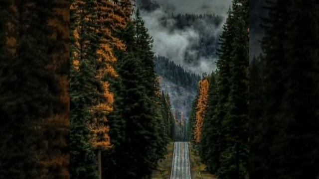 У всякой проблемы есть решение Выход всегда найдется смотреть онлайн