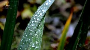 САМАЯ СИЛЬНАЯ Дуа, дуа для успеха во всех делах,дуа для открытия жизненной дороги, Дуа для торговли