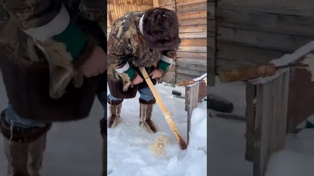 Что делать если вы зимой в лесу и вам захотелось в туалет #общество смотреть онлайн