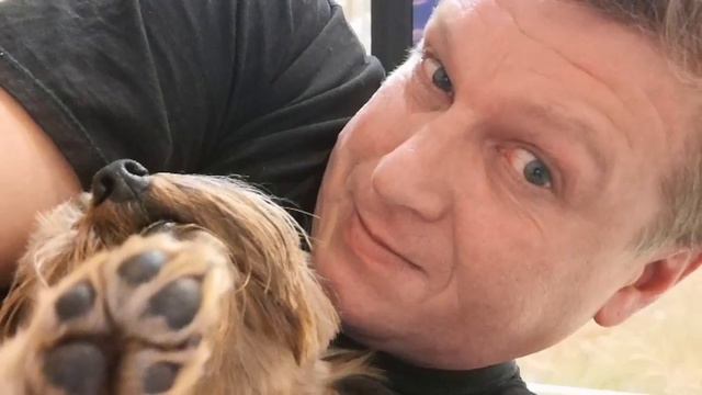 ЙОРКШИРСКИЙ ТЕРЬЕР