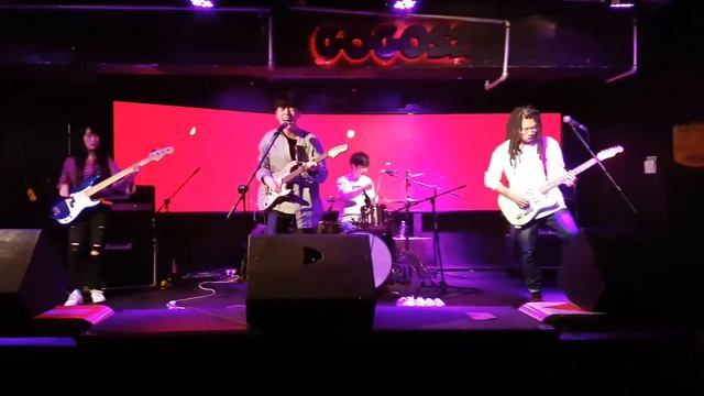 편지들(The Mails)-폼포코 너구리 대작전_20171029 GOGOS2 Live @G2 смотреть онлайн