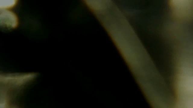 5 Вещей под микроскопом. Часть 2 смотреть онлайн