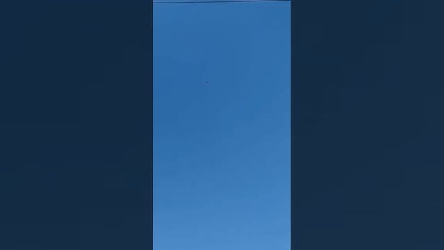Голуби , Голуби бойные игровые ! Таджикские Голуби Душанбе , игры , тяги ! 06,05,2023 смотреть онлайн