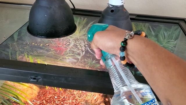 ??BALL PYTHON: Care and Info with Pharaoh Gayles (P.W.K. Season 1 Episode 8)? смотреть онлайн