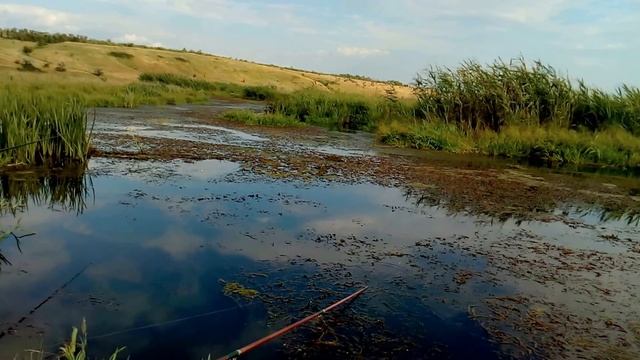Открытие сезона рыбалки на микроречке на речушке!Клев начался на половок,на речушке!" смотреть онлайн
