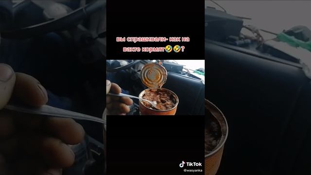 Приколы из Тик Тока смотреть онлайн