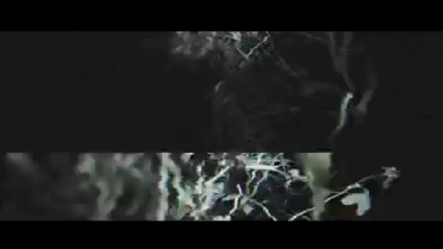 Мертвый лес | Մեռյալ  Հովիտ | Meryal Hovit. Http://www.leninakan.com/