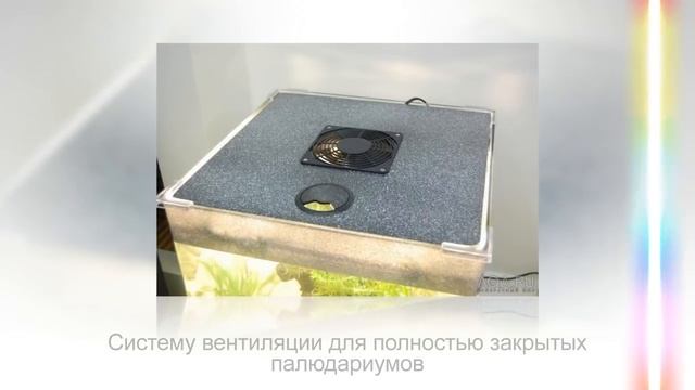 Как обустроить ПАЛЮДАРИУМ в домашних условиях | ВОДНЫЙ САД в интерьере смотреть онлайн