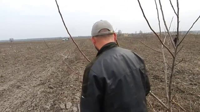 Обрезка запущенного сада. Часть 3 смотреть онлайн