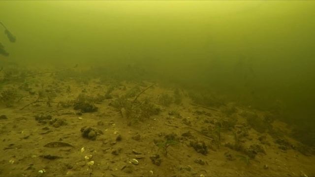 подледная съемка окуня смотреть онлайн