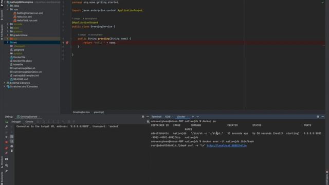 Debugging natively compiled Quarkus Getting Started application with NativeJDB смотреть онлайн
