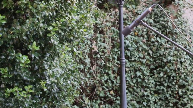 Today Sunday to rest and dance смотреть онлайн