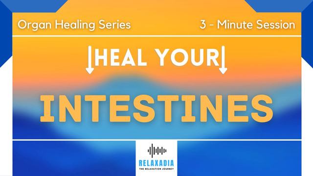 281Hz | Intestines Healing | Organ Healing Series | Binaural Beats | Meditation | Relaxadia | 2021 смотреть онлайн