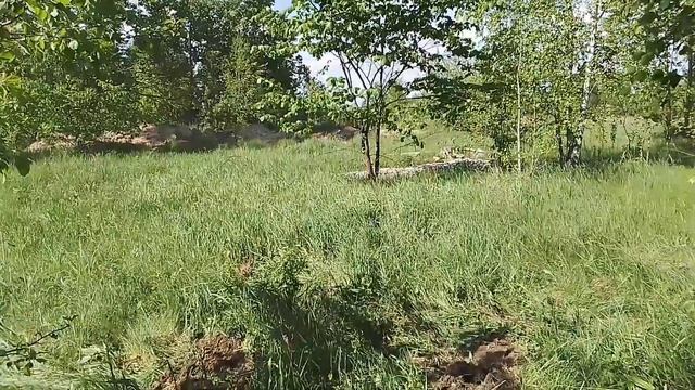 #22 Трёхдневный коп, нарыли 120кг за 8 часов копа. смотреть онлайн