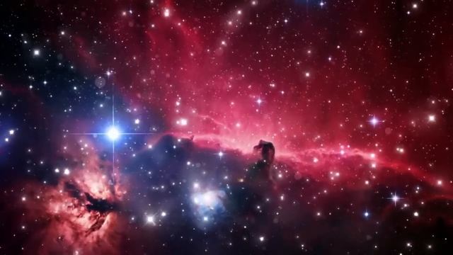 Лярвы и борьба с ними. Рабство у собственной мысли смотреть онлайн