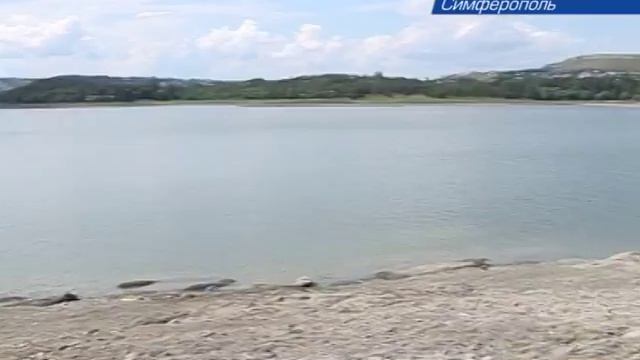 В Симферопольское водохранилище запустили карпа смотреть онлайн