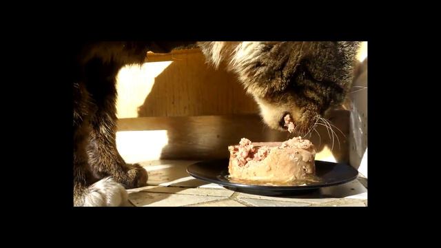 MLEM - Crossing The Rainbow Bridge смотреть онлайн