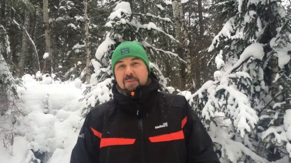 Полгода не можете найти работу  Что делать