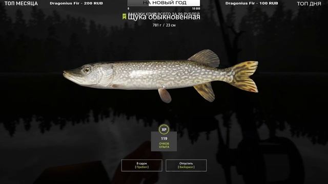 ? РУССКАЯ РЫБАЛКА 4 / КЛЕВ НА КУОРИ / СПИННИНГ И ФИДЕР / СНОВА НА РЫБАЛКУ / СТРИМ смотреть онлайн