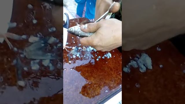 Как правильно чистить рыбу