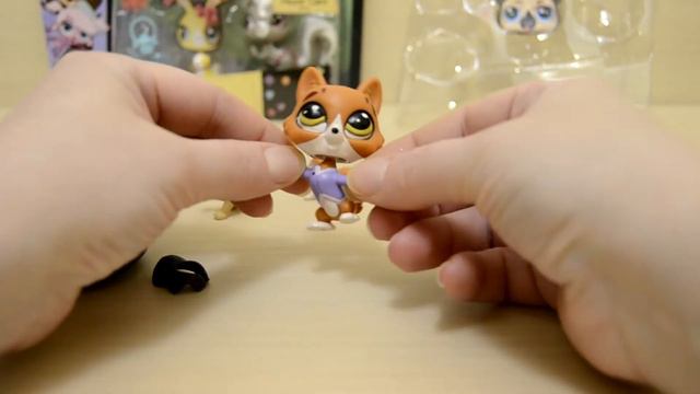 Съемная голова Littlest Pet Shop LPS Video Removable head смотреть онлайн