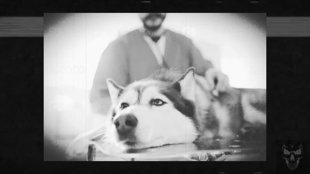 СМАЙЛ ДОГ, КТО ОН? БОЛЬШОЙ РАЗБОР ОПАСНОГО ФАЙЛА (Smile.jpg/Smile Dog) смотреть онлайн