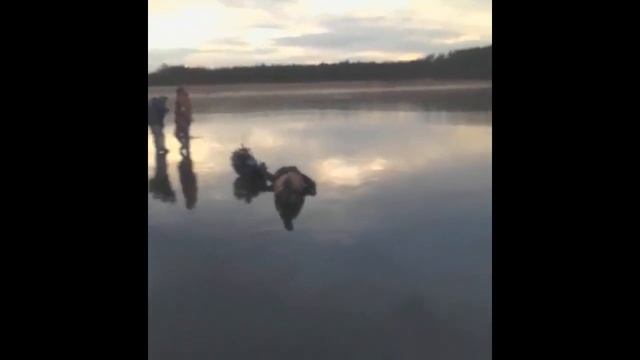 Джентельмены удачи на рыбалке 2018 смотреть онлайн