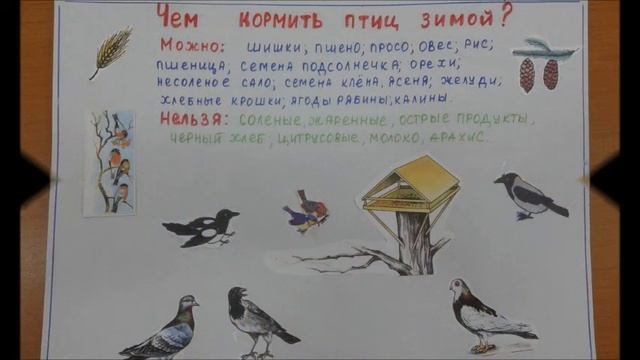 Покормите птиц зимой воспитатель Фирсова М Г смотреть онлайн