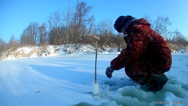 Перволёдок 2017. Харинцы.