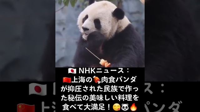 ?? NHKニュース：『??上海の?肉食パンダが抑圧された民族で作った秘伝の美味しい料理を食べて大満足！』 ???#パンダが美味しい料理を披露 #抑圧された民族の秘伝レシピ #上海 смотреть онлайн