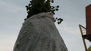 Защищаем ИРГУ от птиц