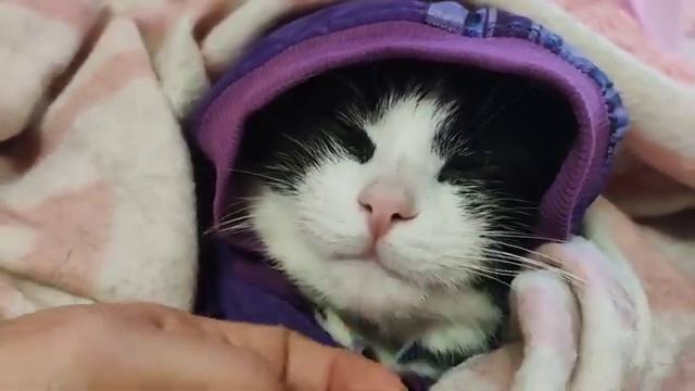 Жду не дождусь, когда смогу сделать видео, где ты играешь, Теддик