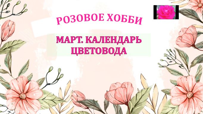 РОЗЫ И НЕ ТОЛЬКО. МАРТОВСКИЕ ЗАБОТЫ ЦВЕТОВОДА смотреть онлайн