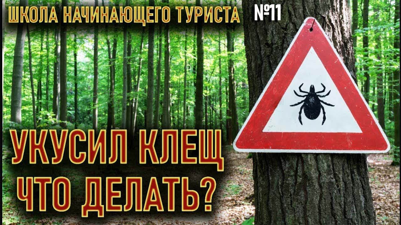 Укусил клещ что делать? школа начинающего туриста №11 Археоклуб смотреть онлайн