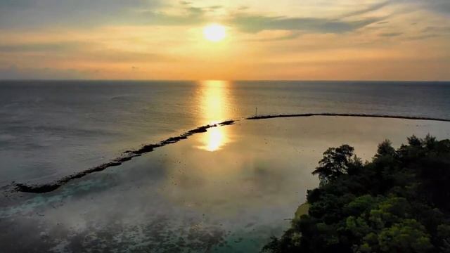 Healing video | Morning relaxation | Mood for a productive day смотреть онлайн