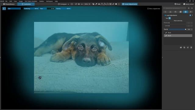 DxO Photolab 6 Elite: Editing Tips & Tricks-Comparison Tools, Virtual Copies, And More! Ep.428