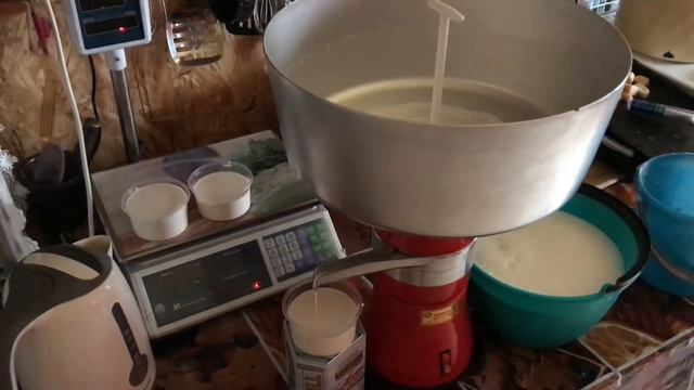 Сепаратор Мотор сич. Перерабатываем молоко нубийской козы! смотреть онлайн