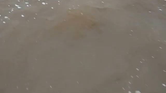 Промышленный лов корюшки 2 смотреть онлайн