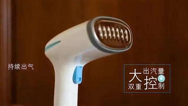 Portable Steamer Handheld Steam Iron Clothes 1000W From Aliexpress