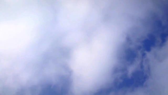 Голуби Кз. Ну вот другой разговор. 1.5 минуты и в точке! смотреть онлайн